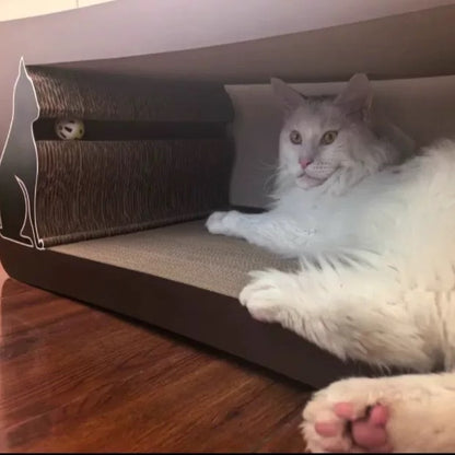 Brown long-tailed cat scratcher