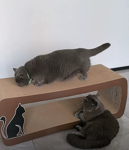 Brown long-tailed cat scratcher