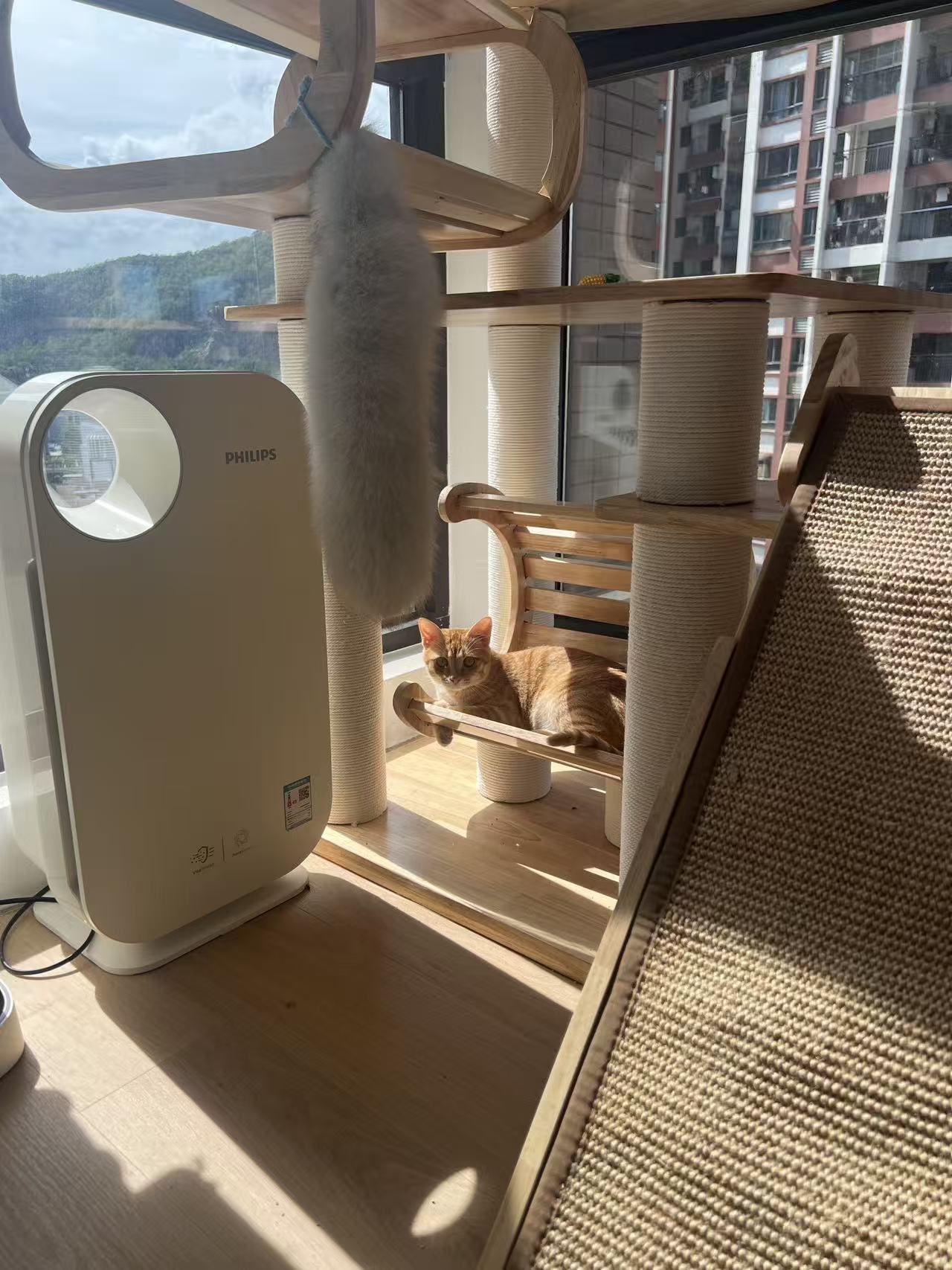 custom made：cat tree rubber wood +paint（ 1.75*1.8*0.6m）