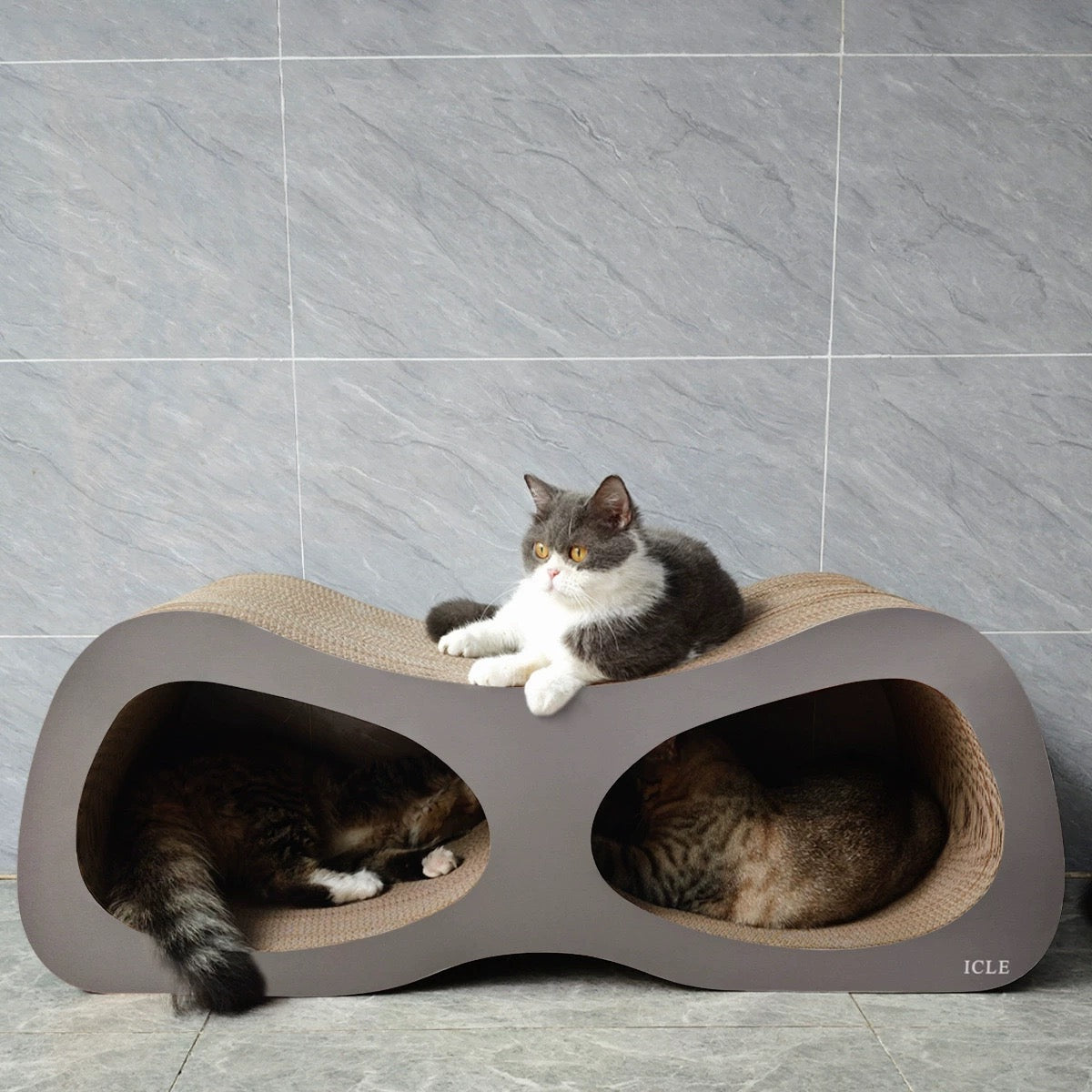 Glasses Cat Scratcher 99*35*36cm