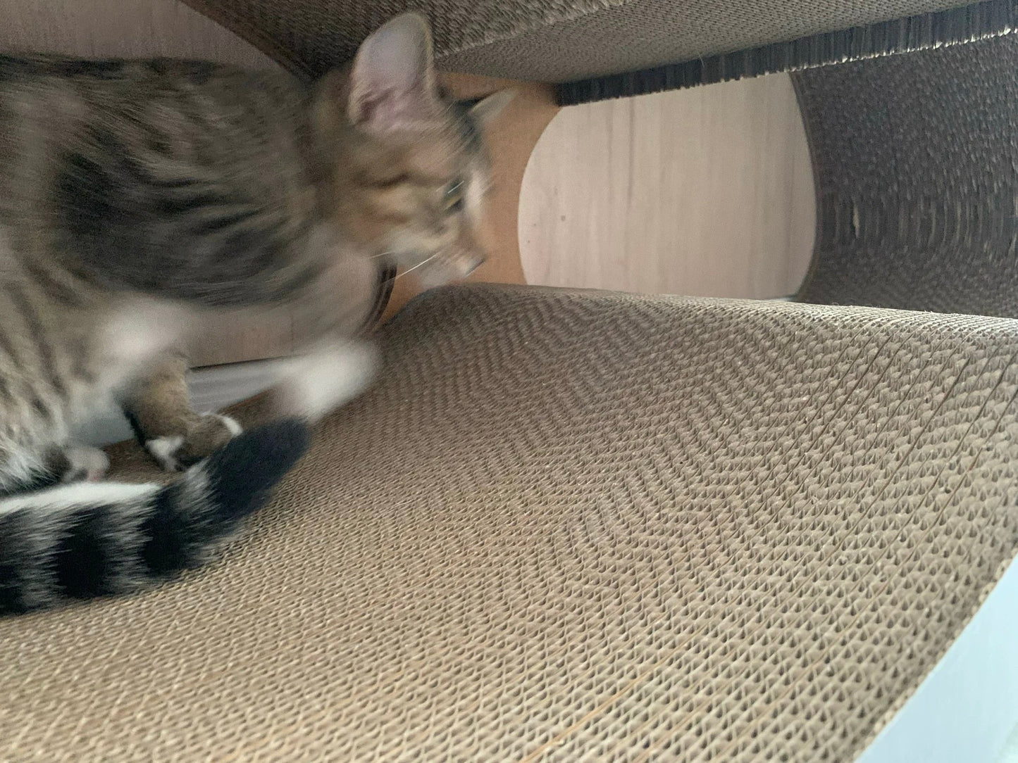 Glasses Cat Scratcher 99*35*36cm