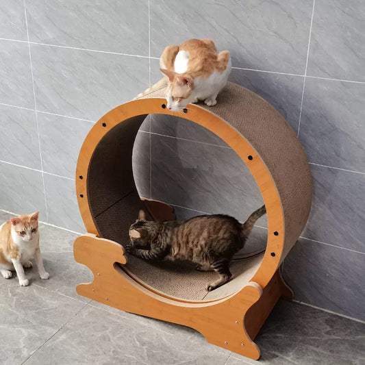 Treadmill Cat Scratcher Mute diameter80cm