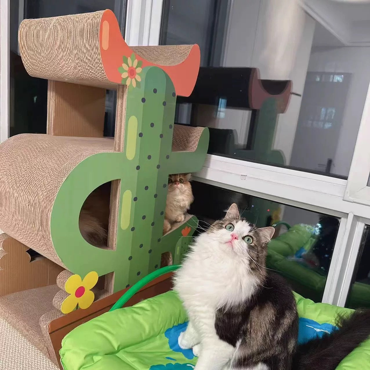 Cactus Cat Scratcher  Can Park 4 Cats 89*60*35.5cm