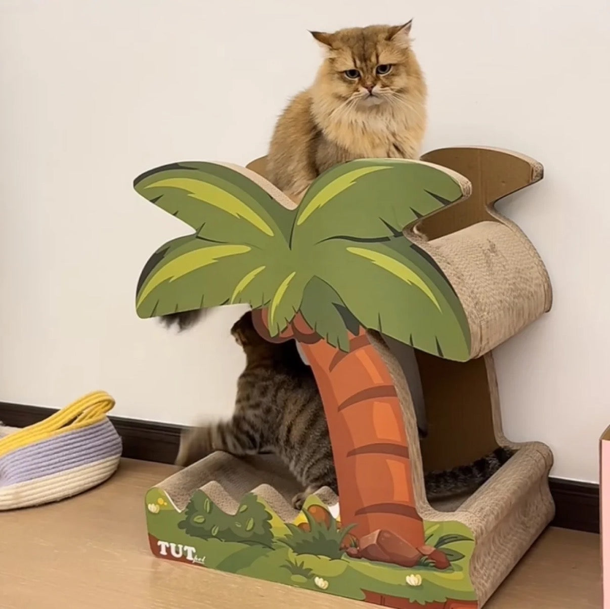 Coconut Tree cat scratcher 52.5*35*59.5cm