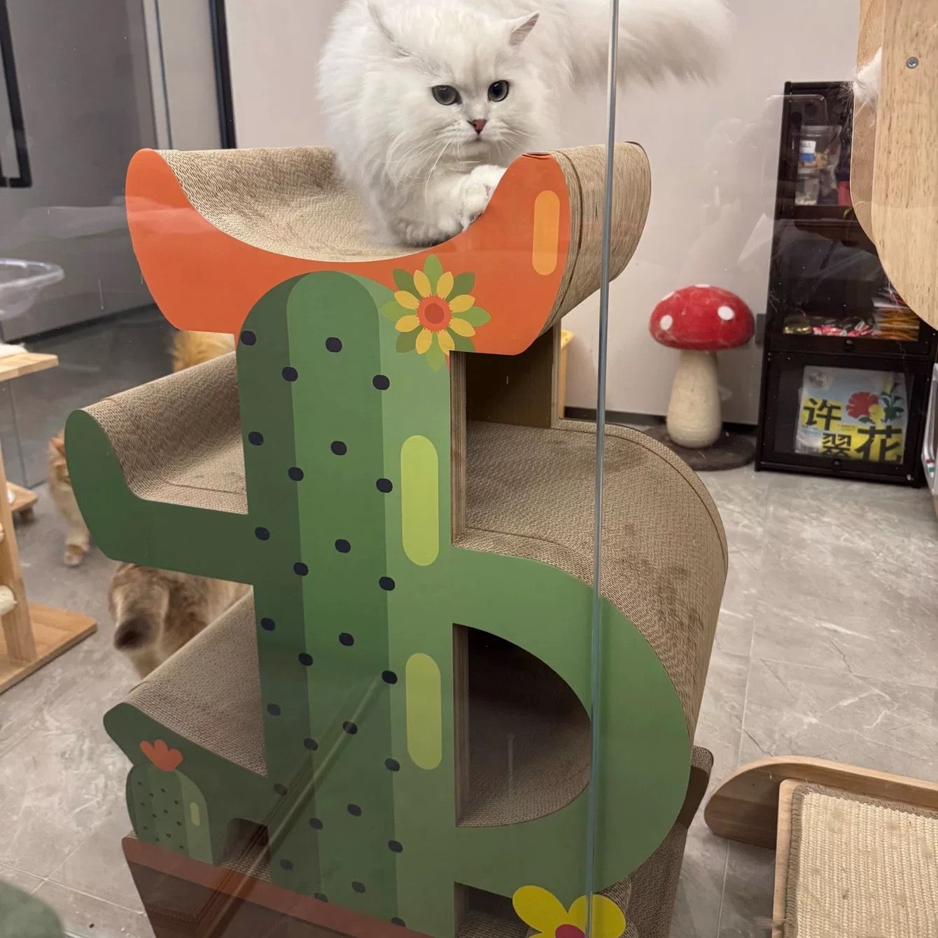 Cactus Cat Scratcher  Can Park 4 Cats 89*60*35.5cm
